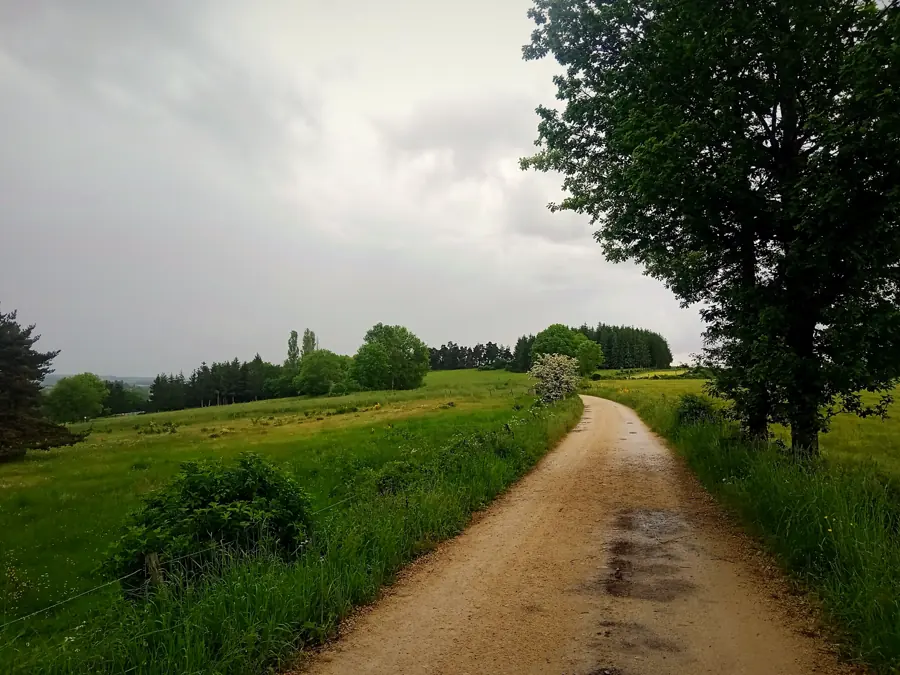 The GR65 Via Podiensis crossing the Margeride meadows near Saugues